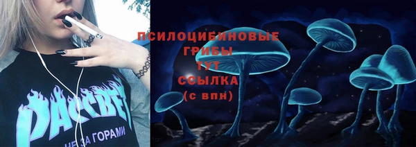 эйфоретик Алексин