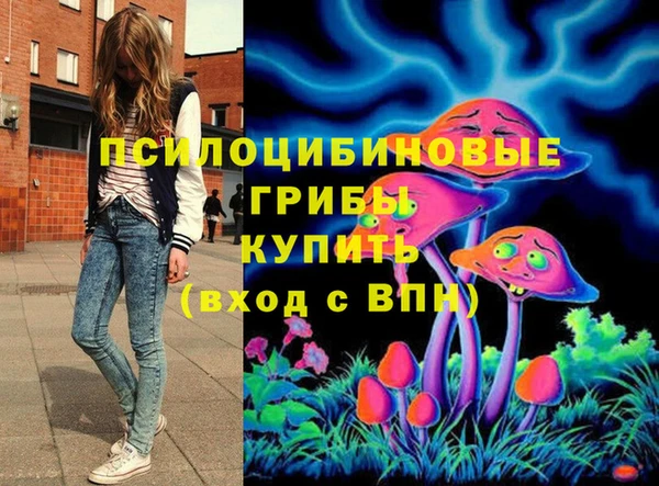 spice Алзамай