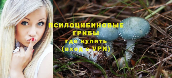 эйфоретик Алексин