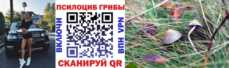 Псилоцибиновые грибы MAGIC MUSHROOMS  наркотики  Тара 